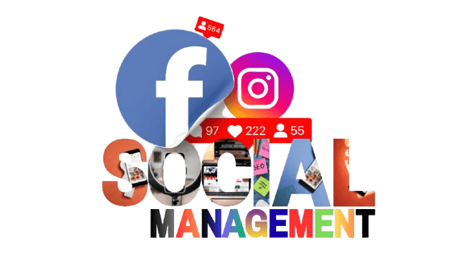 SEO Optimization da £49 / month